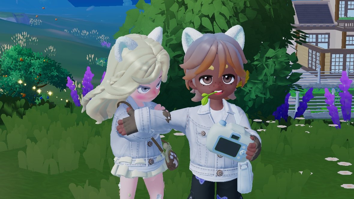 noytopia tweet picture