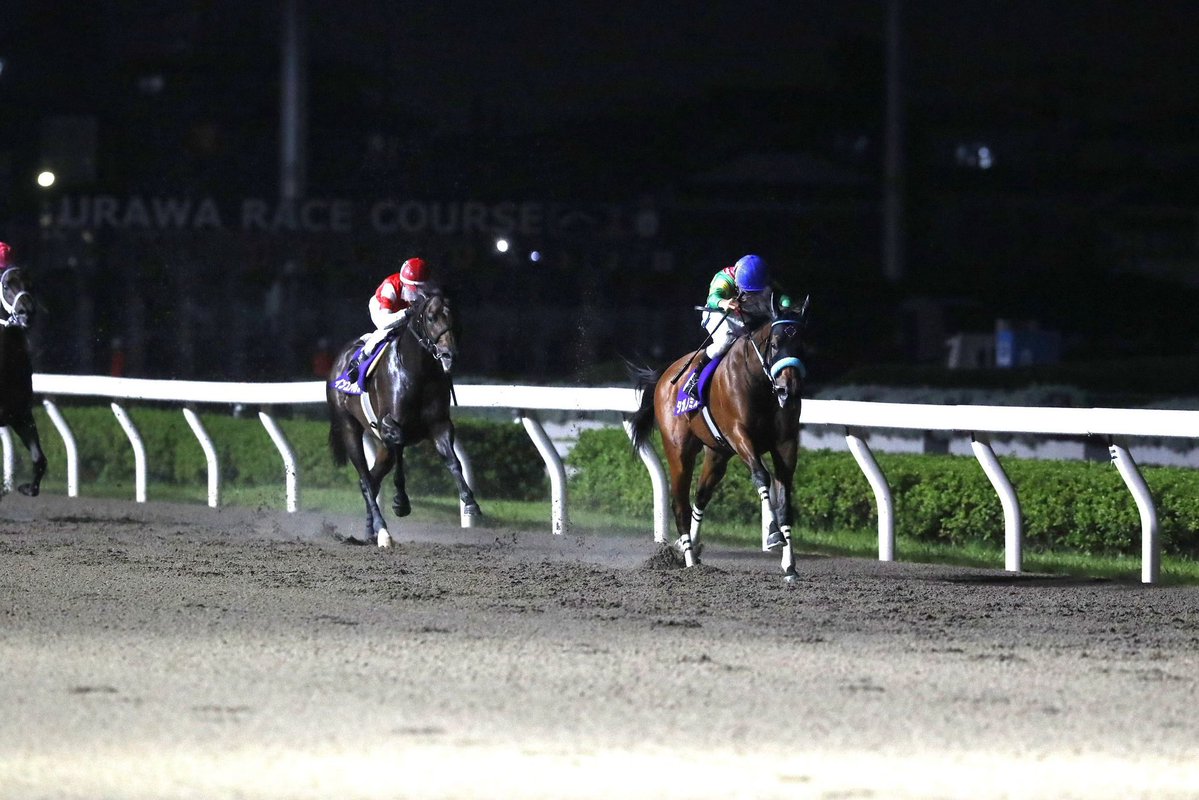 nar_keiba's tweet photo. 【#テレ玉杯オーバルスプリント 写真速報】
本日、浦和競馬場でテレ玉杯オーバルスプリントが行われ、岩田望来騎手騎乗のタガノミストが優勝しました。現地からの写真をお届けします。競走成績はこちら↓
https://t.co/kpBKTEGEkB https://t.co/oQnMxCMwQV
