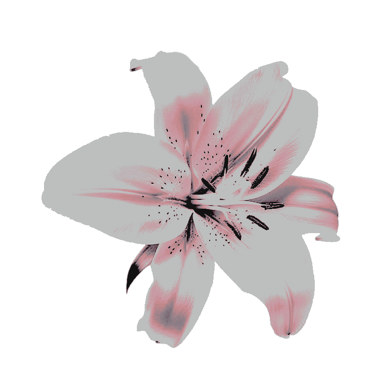 midgarpetal's tweet photo. H͟E͟E͟L͟L͟L͟O͟O͟O͟?͟ ͟H͟E͟E͟L͟L͟O͟O͟?͟ https://t.co/DVFCJ8lGhj