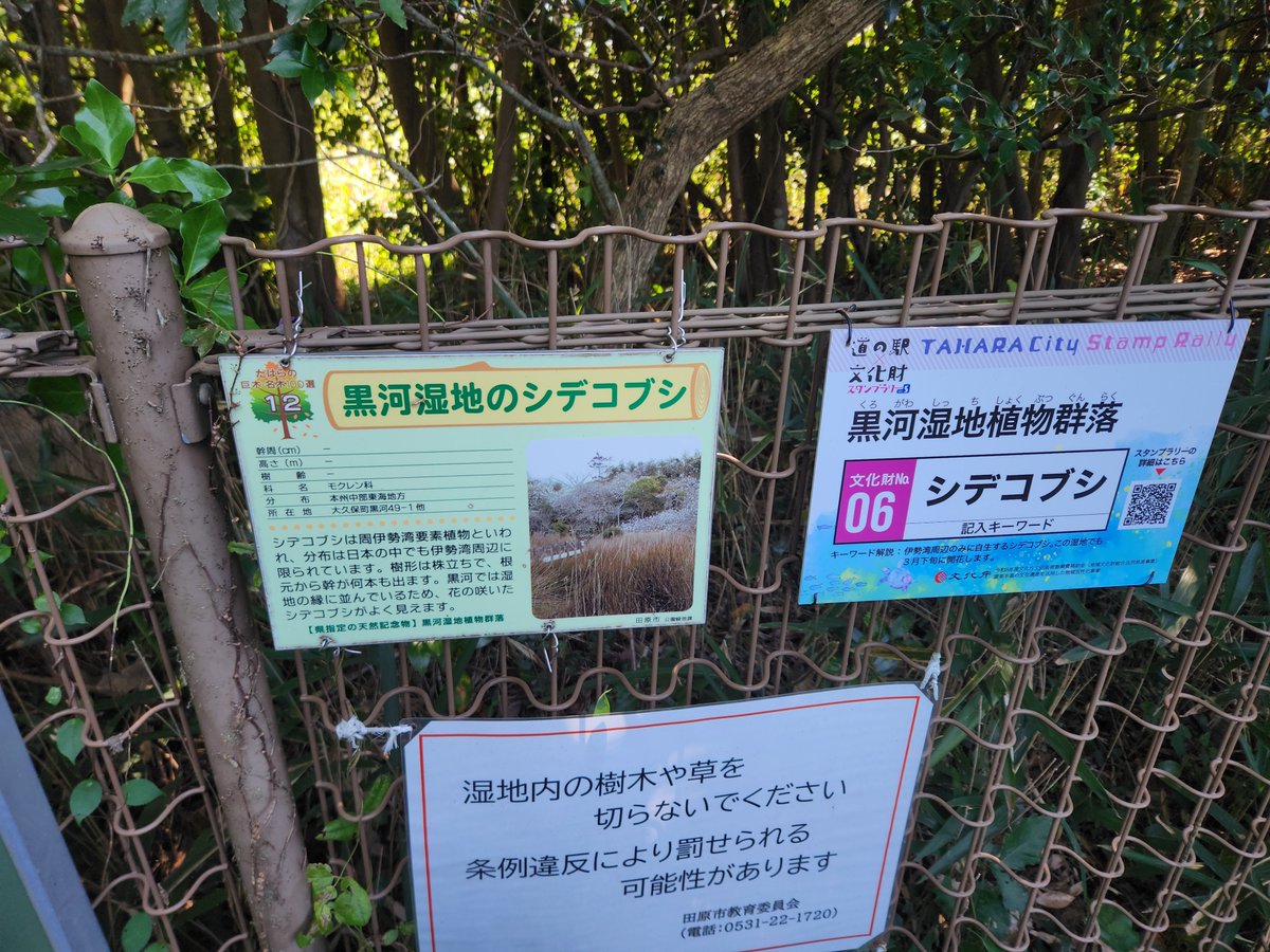 birdbutterfly8's tweet photo. ・黒河湿地植物群落
おすすめ度★★★★

シラタマホシクサ、モウセンゴケ、ホザキノミミカキグサ、ミミカキグサ、ワレモコウなど見どころたくさん https://t.co/KLEh0rBDTu