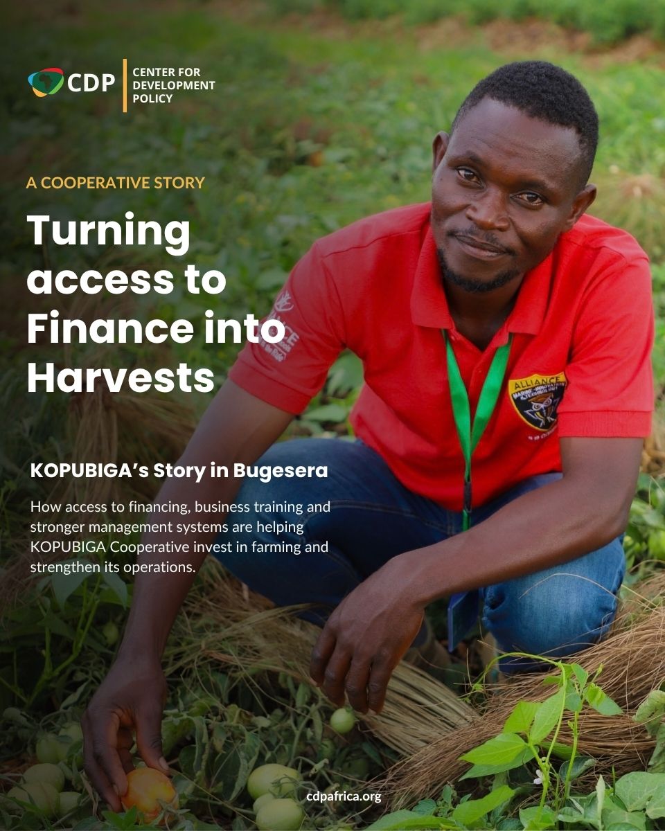 cdpafrica's tweet photo. From limited access to finance to new growth opportunities.
With CDP's training, coaching, and a link to MoneyPhone, KOPUBIGA is progressively accessing about RWF 25.05M, helping 82 members invest in farming on time.

Read the full story: https://t.co/pu8NqKUtui https://t.co/FyXY3aAXZf