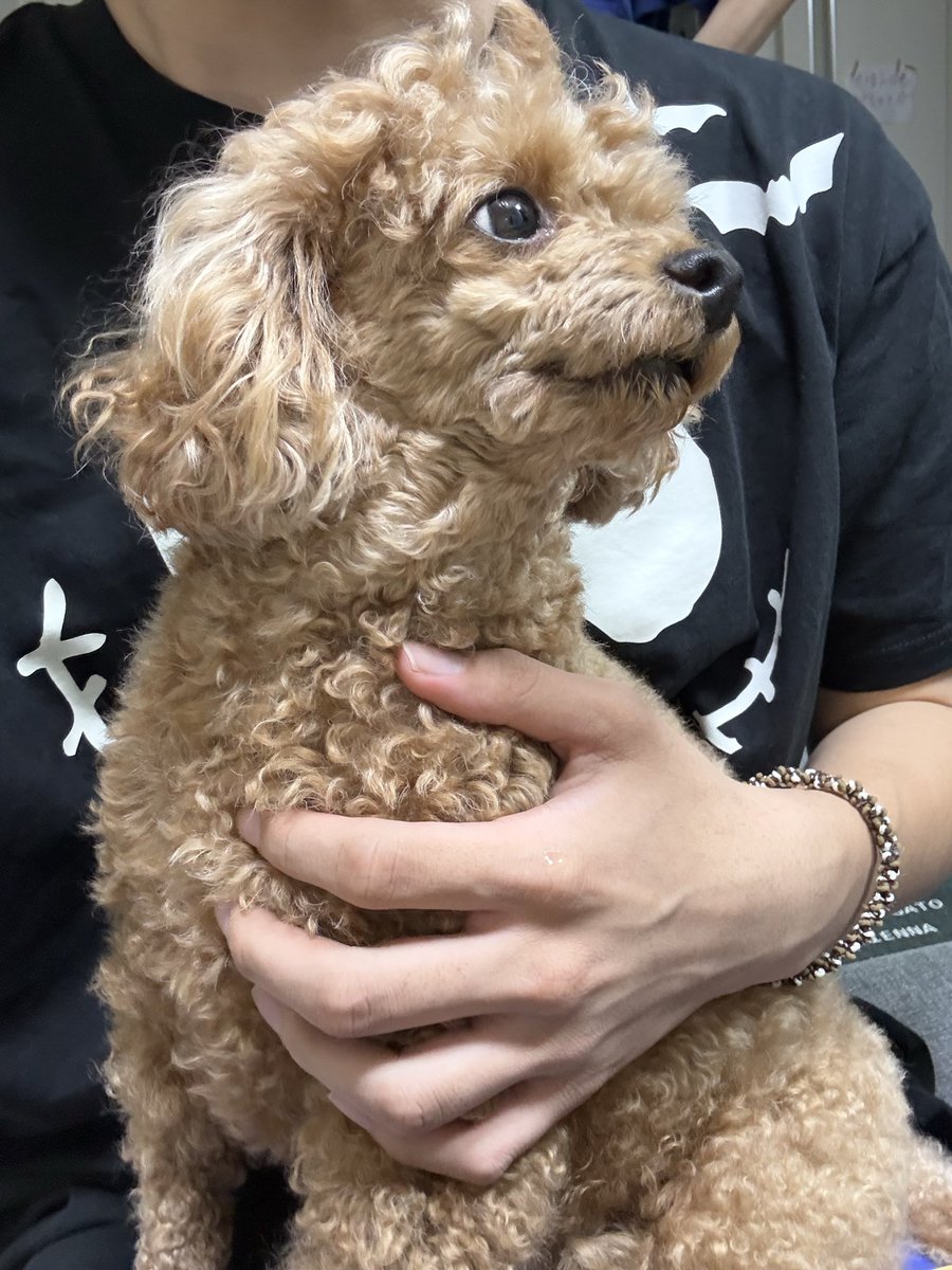 Tsukika83's tweet photo. ご飯中、ベッタリで幸せすぎるなこれ https://t.co/dNbYq3eMbh