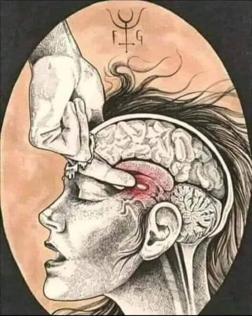 pierpi13's tweet photo. La ghiandola pineale è uno dei più grandi segreti che ci viene nascosto. Il segreto non è che la ghiandola esiste, il segreto è la sua funzione. Agli studenti di medicina viene detto che è un organo scartato, ma non lo è.
La ghiandola pineale è il nostro terzo occhio, è l'organo attraverso il quale sogniamo e immaginiamo qualcosa, e quando è attivata, è anche l'organo che ci collega ad altre dimensioni della realtà, h.: ci permette di vedere esseri di altre dimensioni e oltre di andare in viaggio astrale (lasciando il nostro corpo fisico per viaggiare con il nostro corpo eterico), sviluppare abilità psichiche come la chiaroveggenza o la telepatia e anche la capacità di viaggiare nel tempo per viaggiare....
Il tempio per raggiungere la connessione divina è dentro ognuno di noi....
La ghiandola pineale (conosciuta anche come ananas) ha molti significati.
Per la religione cattolica è il potere di Dio. In Massoneria è la visione del Ciclope. Nella tradizione egizia è chiamato l'occhio di Horus, anche nella geometria sacra vediamo che l'occhio di Horus corrisponde esattamente a tutte le trame del cervello, e nel mondo asiatico come il terzo occhio o centro di chiaroveggenza e intuizione.
Nella terminologia dell'inaugurazione, è conosciuta come la ′′ porta del cielo ′′ e anche il filosofo francese Cartesio ha suggerito che la ghiandola pineale è ciò che collega o contiene il corpo all'anima. L'ha definita come la ′′ sede dell'anima ′′ perché secondo lui la ghiandola pineale non è presente nel corpo da entrambi i lati. Cartesio credeva (falsamente) che fosse riservato esclusivamente all'uomo.
L'ormone melatonina prodotto dalla ghiandola pineale, la cui carenza porta all'insonnia e alla depressione, è contenuto in alcuni alimenti come avena, mais, pomodori, patate, noci, riso e ciliegie.
Negli antichi templi dei Sumeri e dei Babilonesi c'era un culto della ghiandola pineale e anche in Vaticano si può vedere una statua a forma di ananas o ghiandola pineale, che viene portata anche dai papi, e ci sono geroglifici sulle pareti delle piramidi.
La ghiandola pineale separa una sostanza chiamata DMT (dimetiltriptamina), alias la molecola spirituale, che viene rilasciata durante la fase rapida del movimento degli occhi, quindi quando sogniamo è responsabile della visualizzazione delle immagini in un sogno.
Se non c'è luce, la ghiandola pineale produce melatonina dalla serotonina.
Questo è coinvolto nella regolazione dei cicli di veglia e sonno e serve a contrastare gli effetti della sindrome da fuso orario.
La DMT è così potente che può trasportare la coscienza umana attraverso viaggi nel tempo e tra le dimensioni. Una grande quantità di DMT viene prodotta nell'immediato stato di pre-morte, per cui le viene attribuita la capacità di entrare in dimensioni superiori di coscienza. Raggiunge condizioni mistiche o interdimensionali ed è il più forte composto allucinogeno o entheogenico trovato in natura. Tutte le piante e gli animali (in concentrazioni variabili) hanno un effetto profondo sulla coscienza).
Ringraziamenti per il post di Alessandro Antonelli