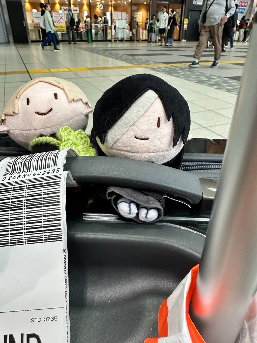 hato_kp3's tweet photo. これ見た瞬間ツボにハマったwwww
ほんまに勘弁してww うちの的さんをいじめないで....😂
（撮影：禁止さん） https://t.co/GPO3xdsJgW