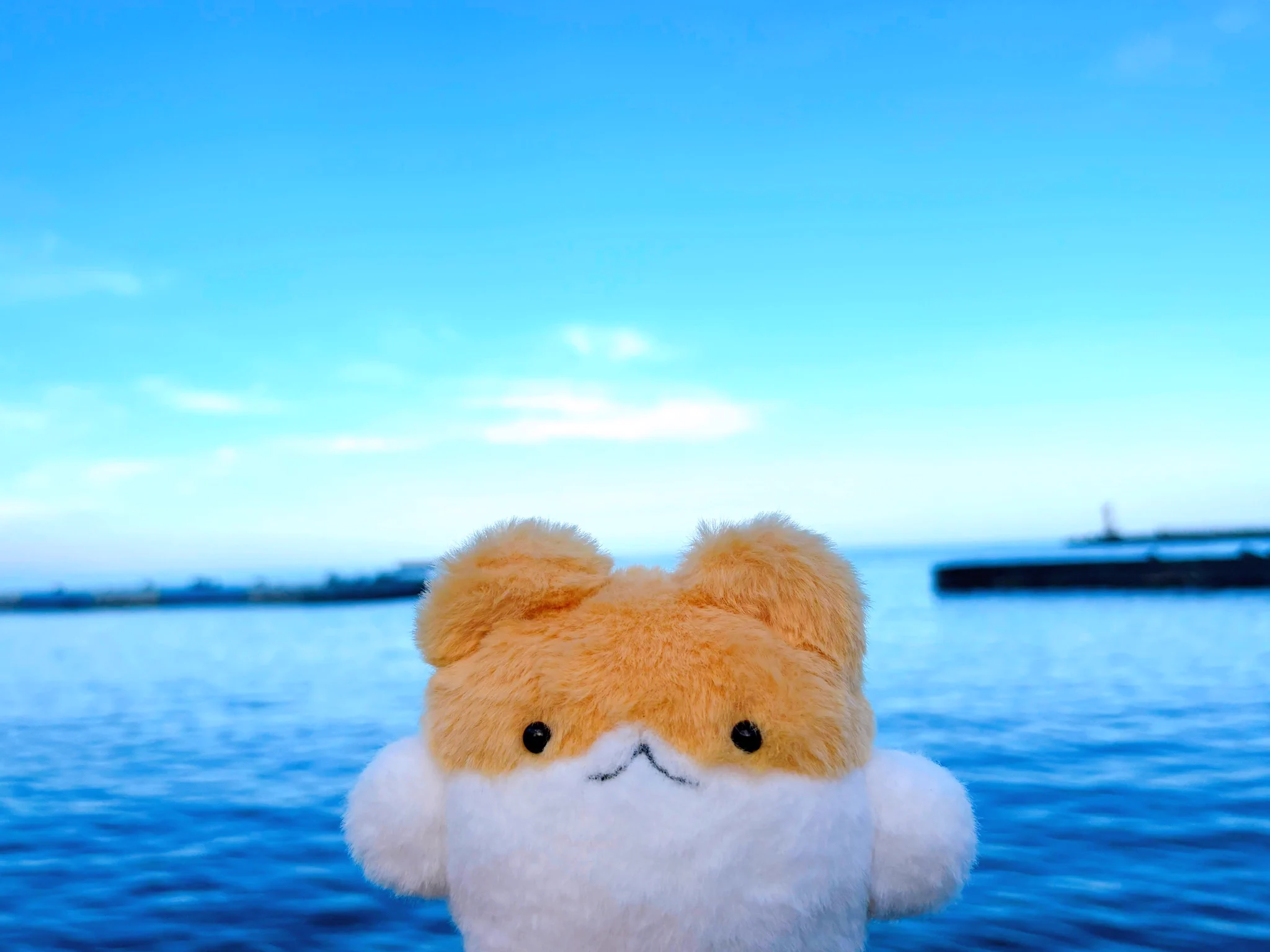 ぱむぱむ🐹🐟デザフェス64 (@pamupamu__u) / X