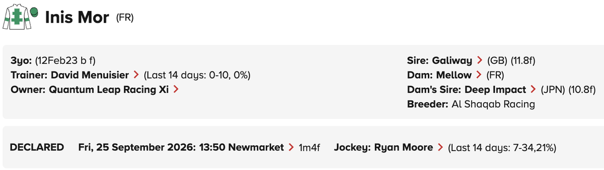 QuantumLeapRace's tweet photo. Inis Mor is declared for the Group 3 Princess Royal Stakes @NewmarketRace on Friday. 

Hopeful for a big run! Ryan Moore rides her for the first time. https://t.co/av3UaLooSg