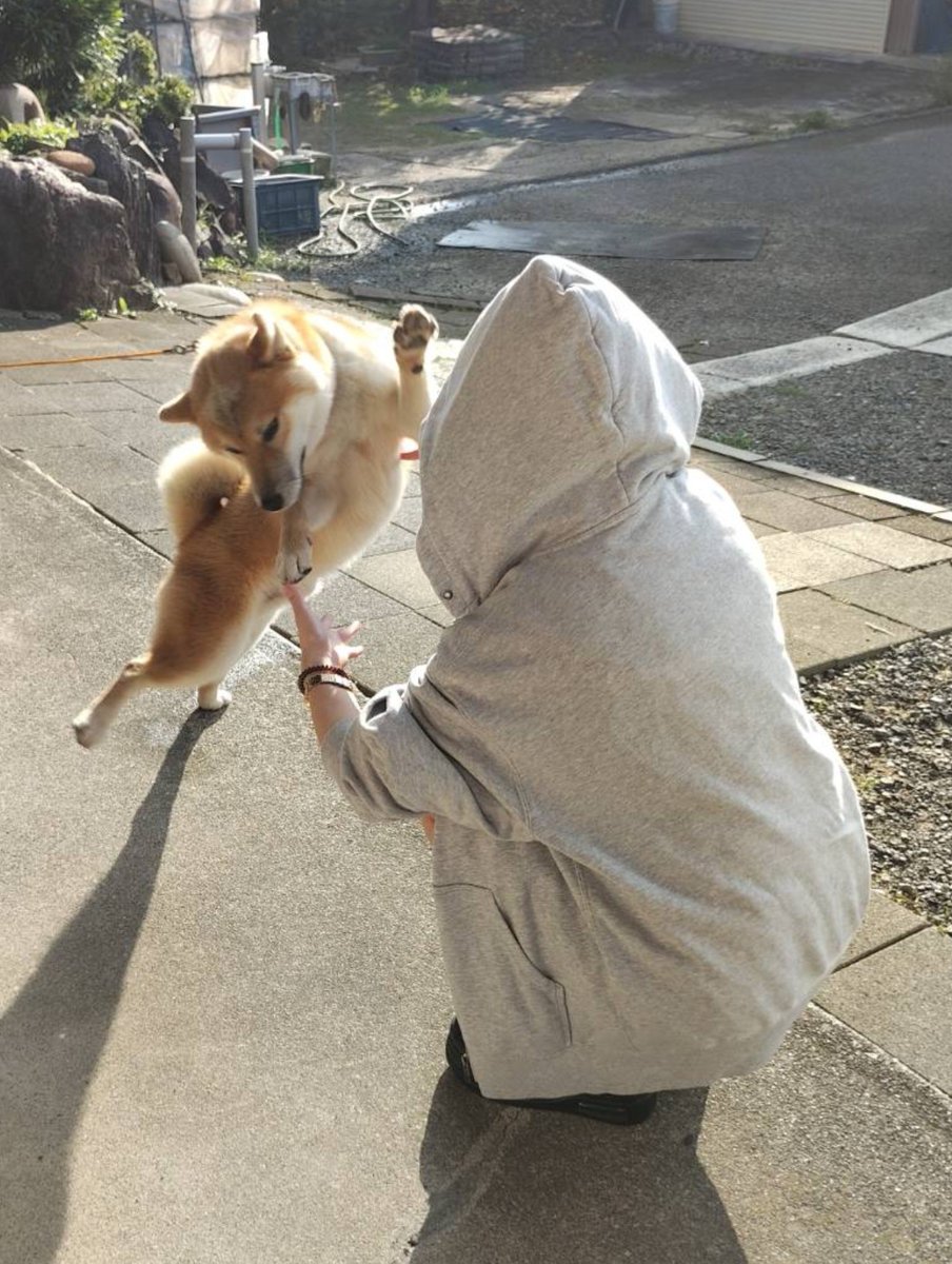 chataro1220's tweet photo. 妹が遊びに来てくれたの、そんな変なポーズになるくらい嬉しかったんだ https://t.co/izwB4rB53J