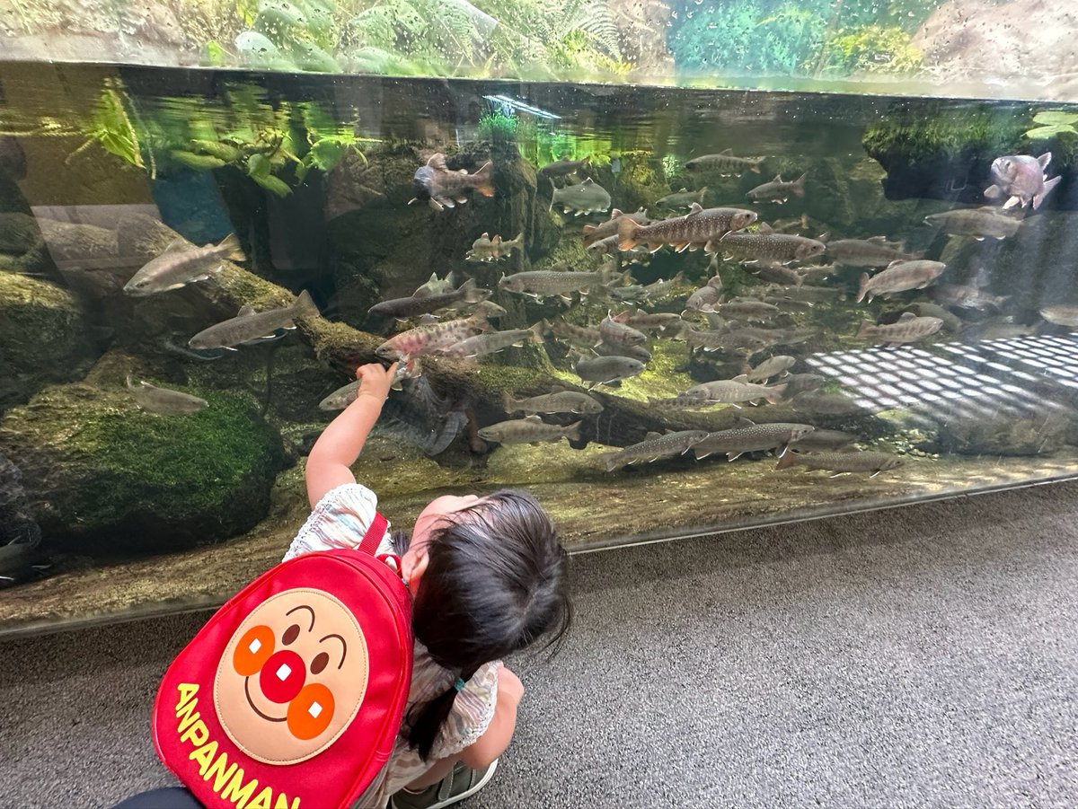 LsbAsy's tweet photo. シルバーウィークが終わってしまった、、

家族旅行から始まり最終日はステーキツーリングで終わり！
明日から仕事頑張ろ！！ https://t.co/obcg7dzwKq