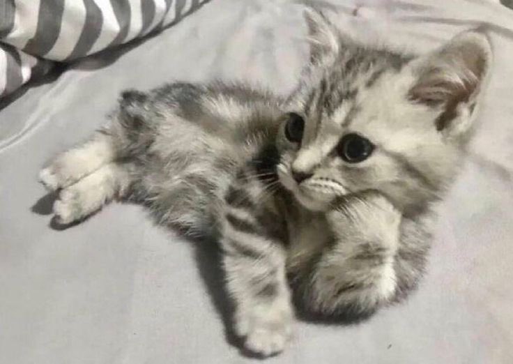 arushofme's tweet photo. @qt_dog eu quando chamo minha mãe de tu perto de alguém que não conhece nossa relação e jura que eu estou sendo desrespeitosa https://t.co/7KCbkcb3zg