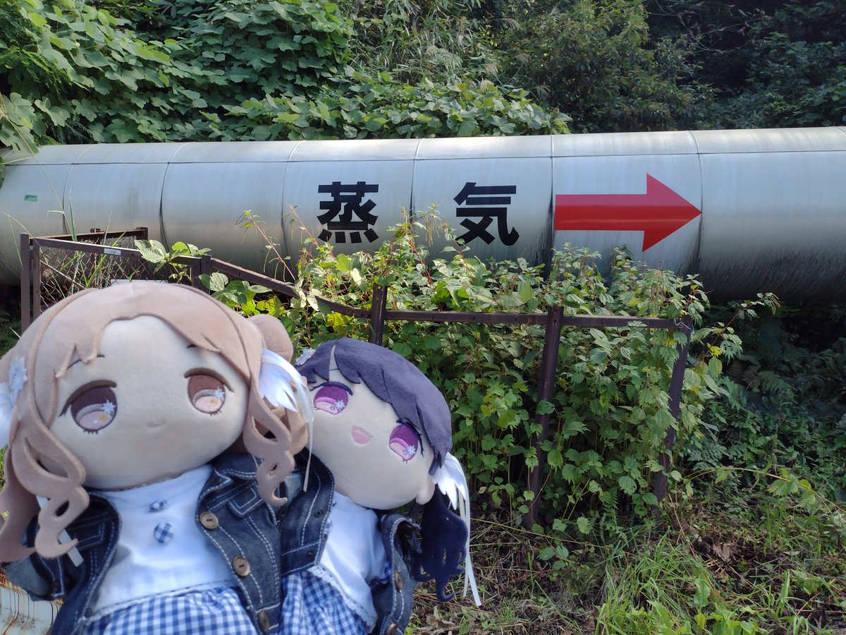 tk_sprt09's tweet photo. もちほわと柳津西山地熱発電所 https://t.co/L9fJg6UW8y
