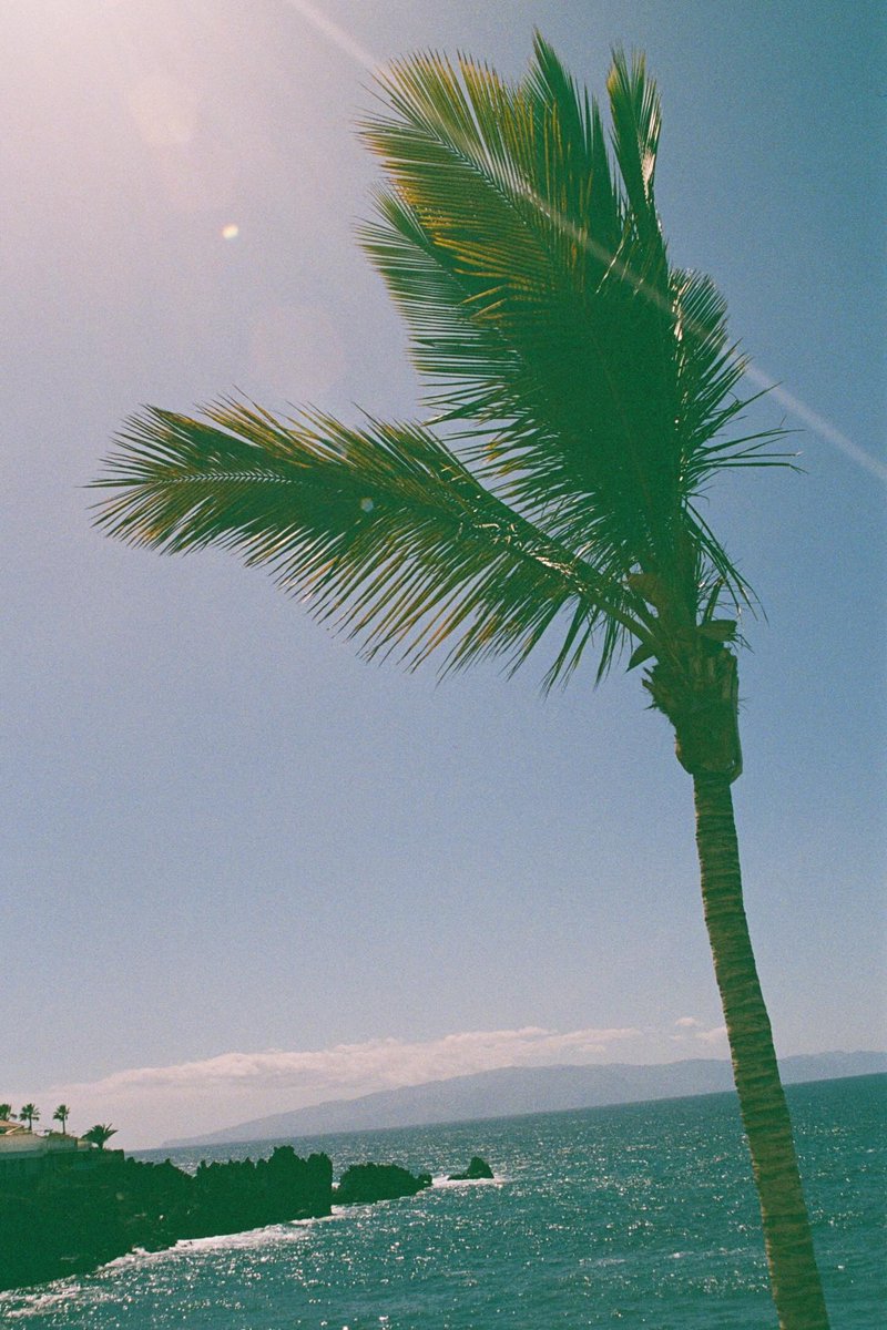ThomasPric1r's tweet photo. it's been 2 days since I got the scores, I was second by few decimal points. it's not a big deal, I know. https://t.co/MQ07lNJJQv
