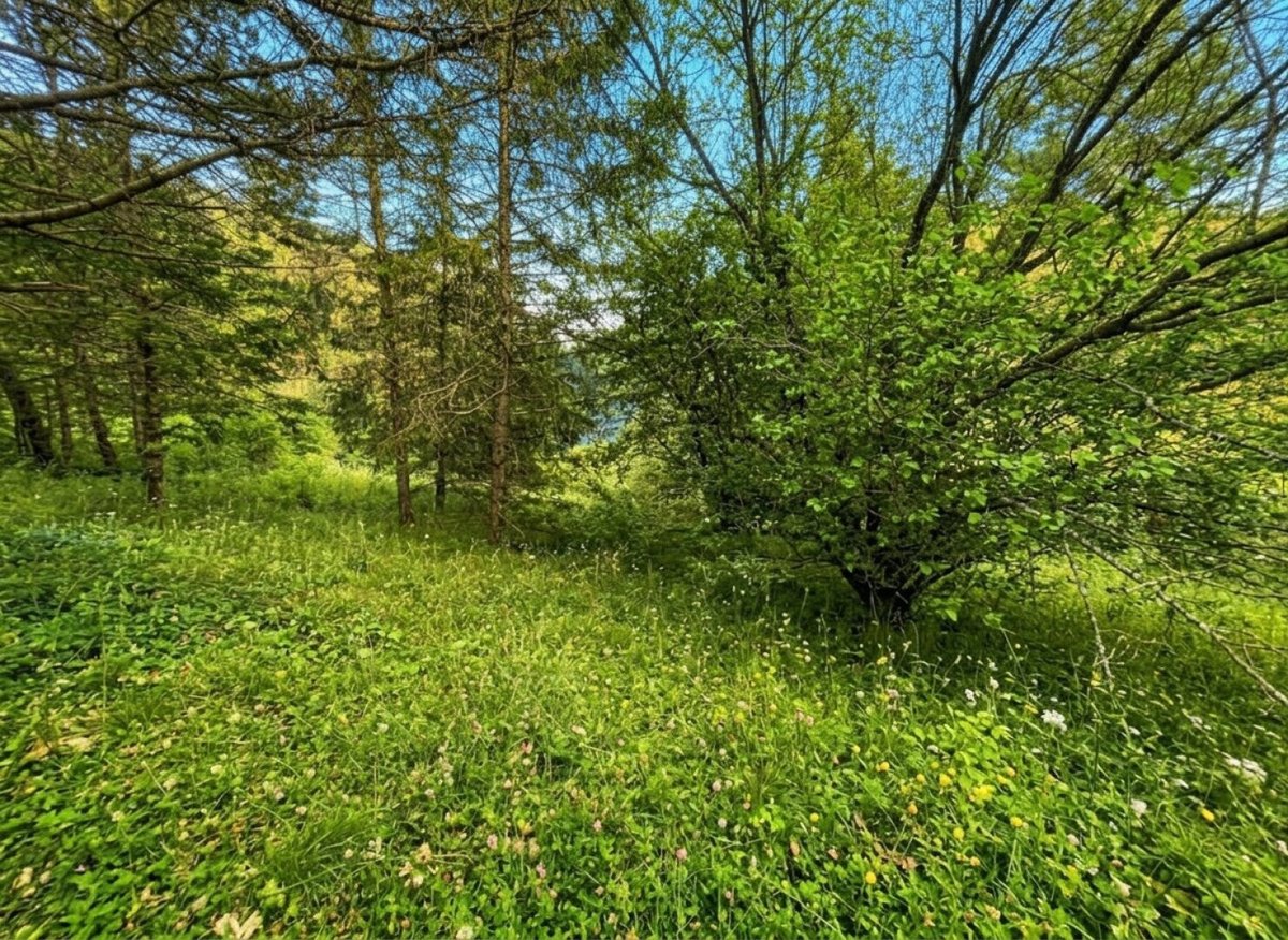 immosearch_eu's tweet photo. Neuer Preis: 367.000 EUR. Historisches Anwesen in 2534 Maria Raisenmarkt mit rund 1.600 m² Grund, 5 Zimmern, Garten, Garage und viel Potenzial. 🏡

Mehr erfahren: https://t.co/S5dk1nXgDn

Immosearch https://t.co/yRQhfOhid2 Wien

#MariaRaisenmarkt #HistorischesAnwesen #Bungalow https://t.co/096aXb0dsP