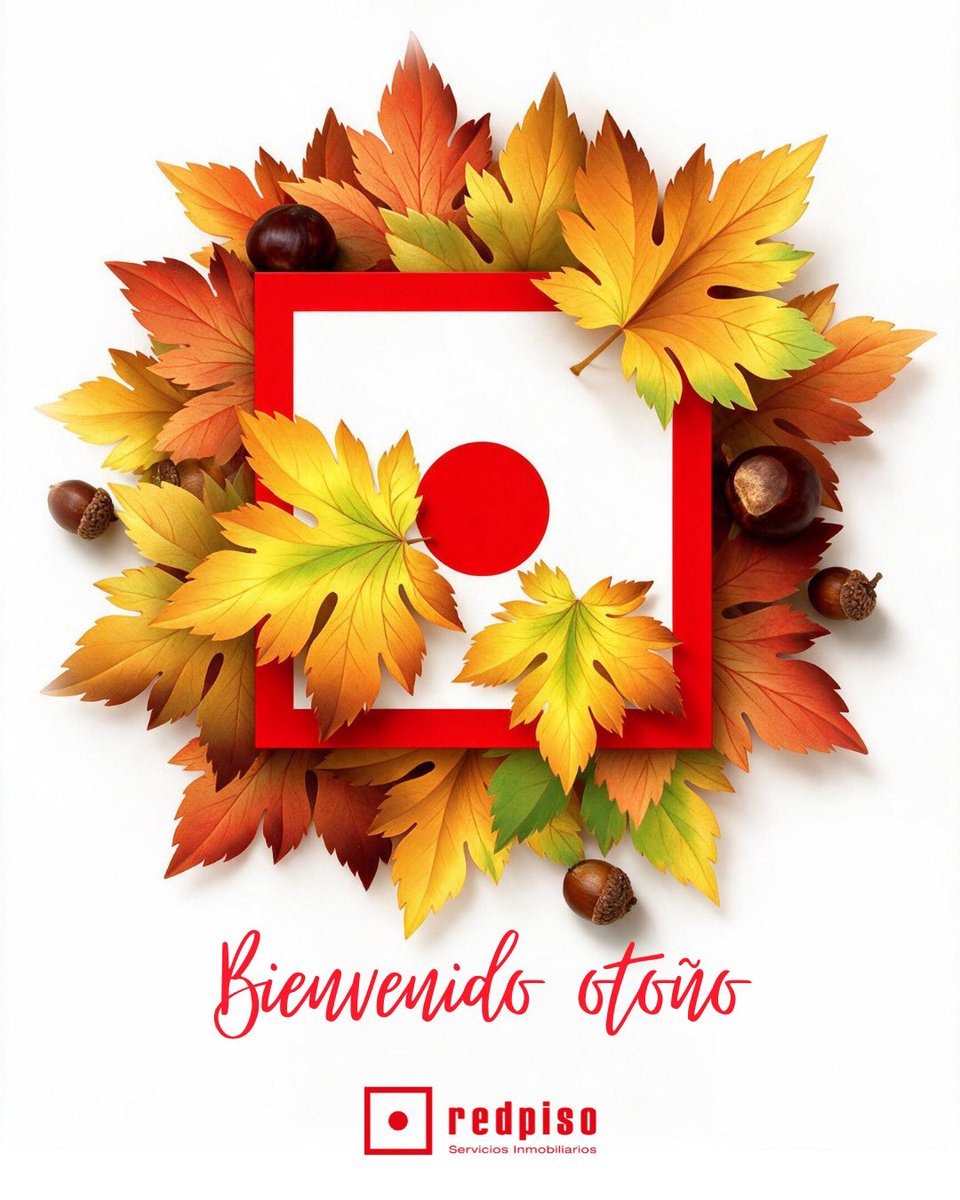 redpisosector3's tweet photo. El otoño ya está aquí, y con él llegan nuevos colores, nuevas rutinas y nuevas oportunidades.
Es tiempo de disfrutar del hogar, de esos pequeños momentos que hacen que nuestra casa se sienta más nuestra que nunca.
#Redpiso #Otoño #Hogar #ServiciosInmobiliarios https://t.co/Ap9Q6mkR2y