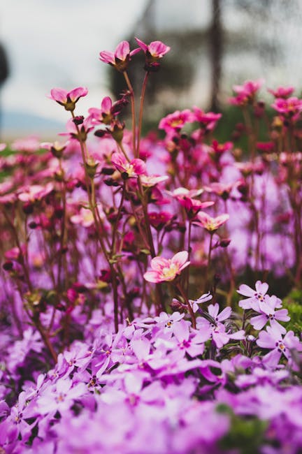 RogerMartiozc's tweet photo. من العناق لا أن دون يمكن كل يدفئ الأحلام في ابتسامة. chester shaub🌸 https://t.co/CxUzK09n0l