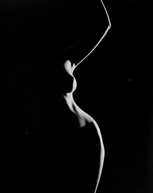 Bavor_V's tweet photo. One Side Light.  1954
Fernand Fonssagrives https://t.co/9WvV4yWevl