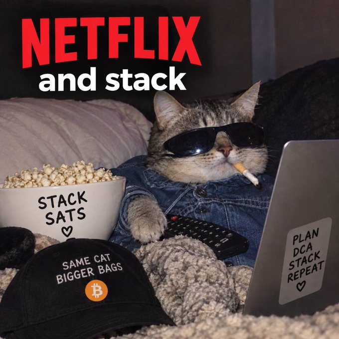 SatxBTC's tweet photo. Netflix 
stack solana:BjthYsyHKCMkEhFoNcANF4VVU4UPTLQjLxiH7jXjQdjS 
earn btc https://t.co/sQnHRxgbGi
