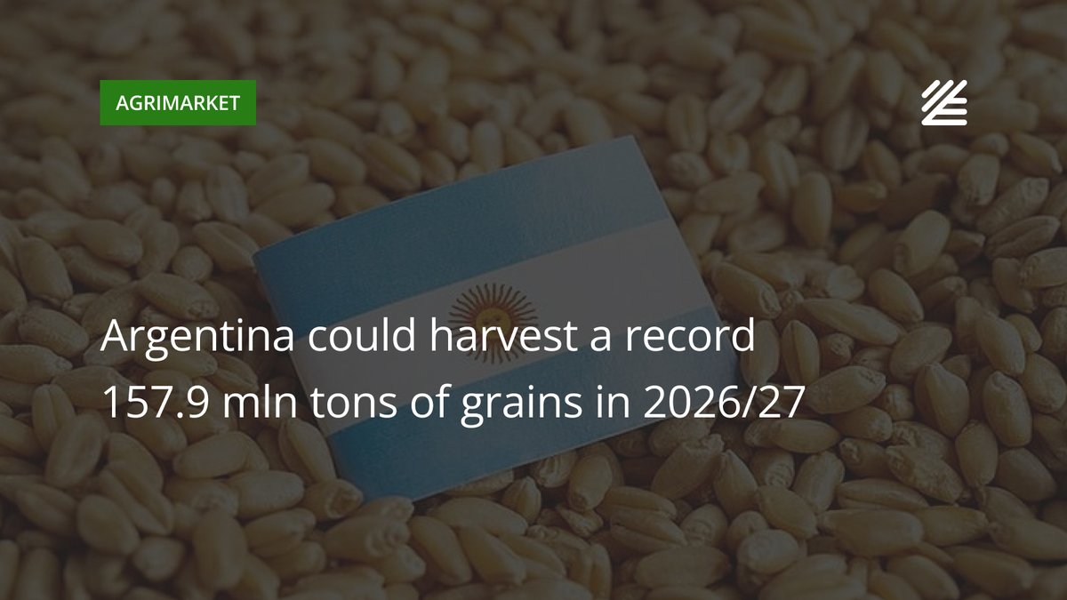 UkrAgroConsult's tweet photo. 🇦🇷 #Argentina could harvest a record 157.9 mln tons of #grains in 2026/27
Argentina may harvest a record 157.9 mln tons of grains and oilseeds in 2026/27, led by higher soybean and corn output.
Read more 👉https://t.co/XpIcEUgNnW
#oilseed https://t.co/ewkqG86wnY