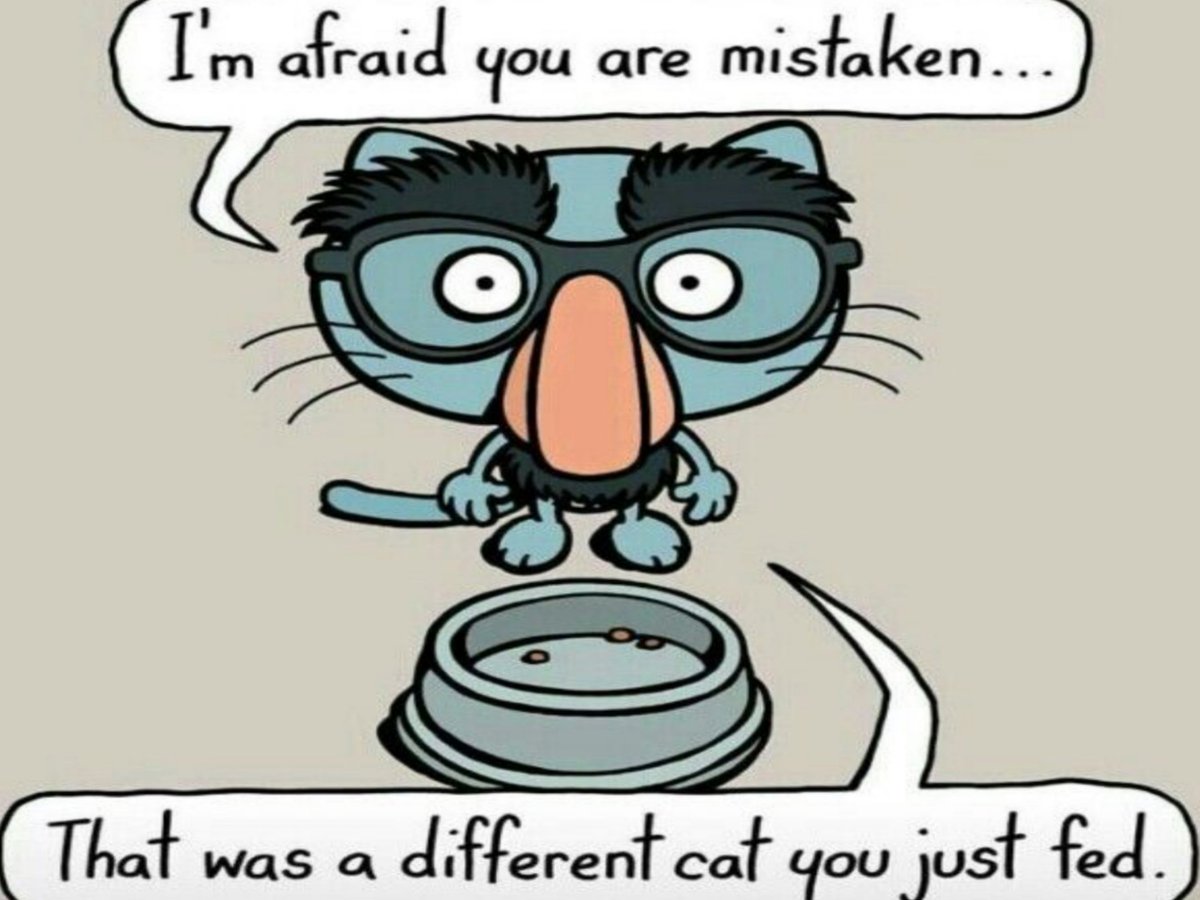 AlanSla90124663's tweet photo. It's time for Pinky and Olly's corny jokes Wednesday BOGOF.

A big thank you to our friend Jenni for sending this one to us.
Pinky and Olly will be back tomorrow. 

#RIPJanet 💜💜💜
#PinkyAndOlly 

❤️❤️❤️🌽🌽🌽❤️❤️❤️ https://t.co/mxJ48NID12