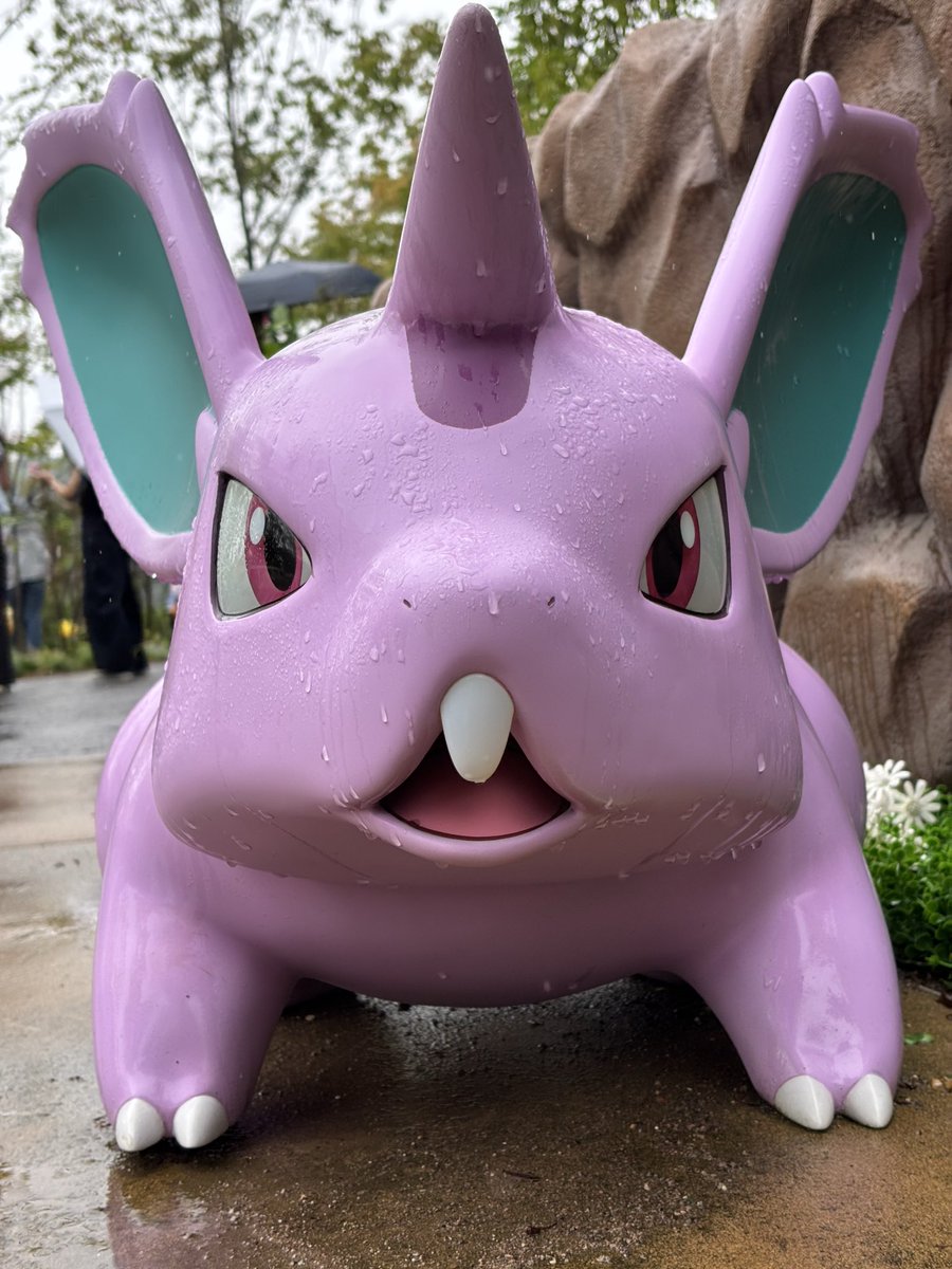 gontaka_'s tweet photo. 雨だったから傘さしてるヒトカゲ見れた☔️🔥
森に本当に暮らしてたよね、生きてた https://t.co/zn7mMh350A
