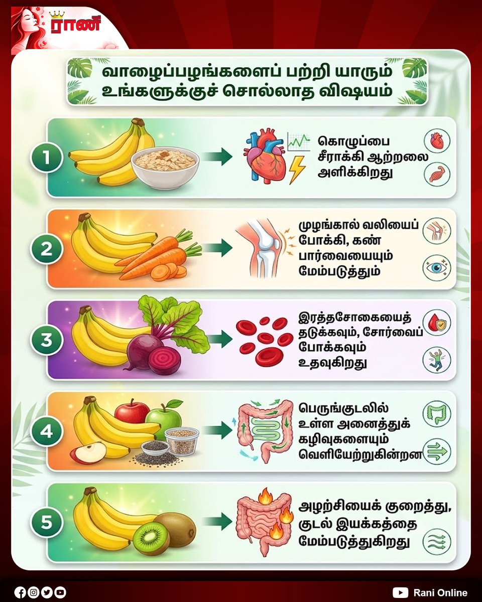Rani_online's tweet photo. வாழைப்பழம் பற்றி யாரும் சொல்லாத 5 விஷயங்கள்!

#Banana #BananaBenefits #HealthyEating #HealthTips #Nutrition #HealthyFoods #FruitBenefits #Oats #Carrot #Beetroot #Apple #Kiwi #ChiaSeeds #Wellness #Ranionline https://t.co/tfXoveacen