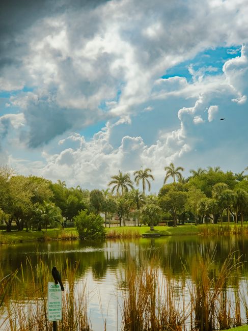 JustinPate5p's tweet photo. بجد قويًا دائمًا من يعمل يبقى kelvin rade🍩 https://t.co/m46ULNDAXj