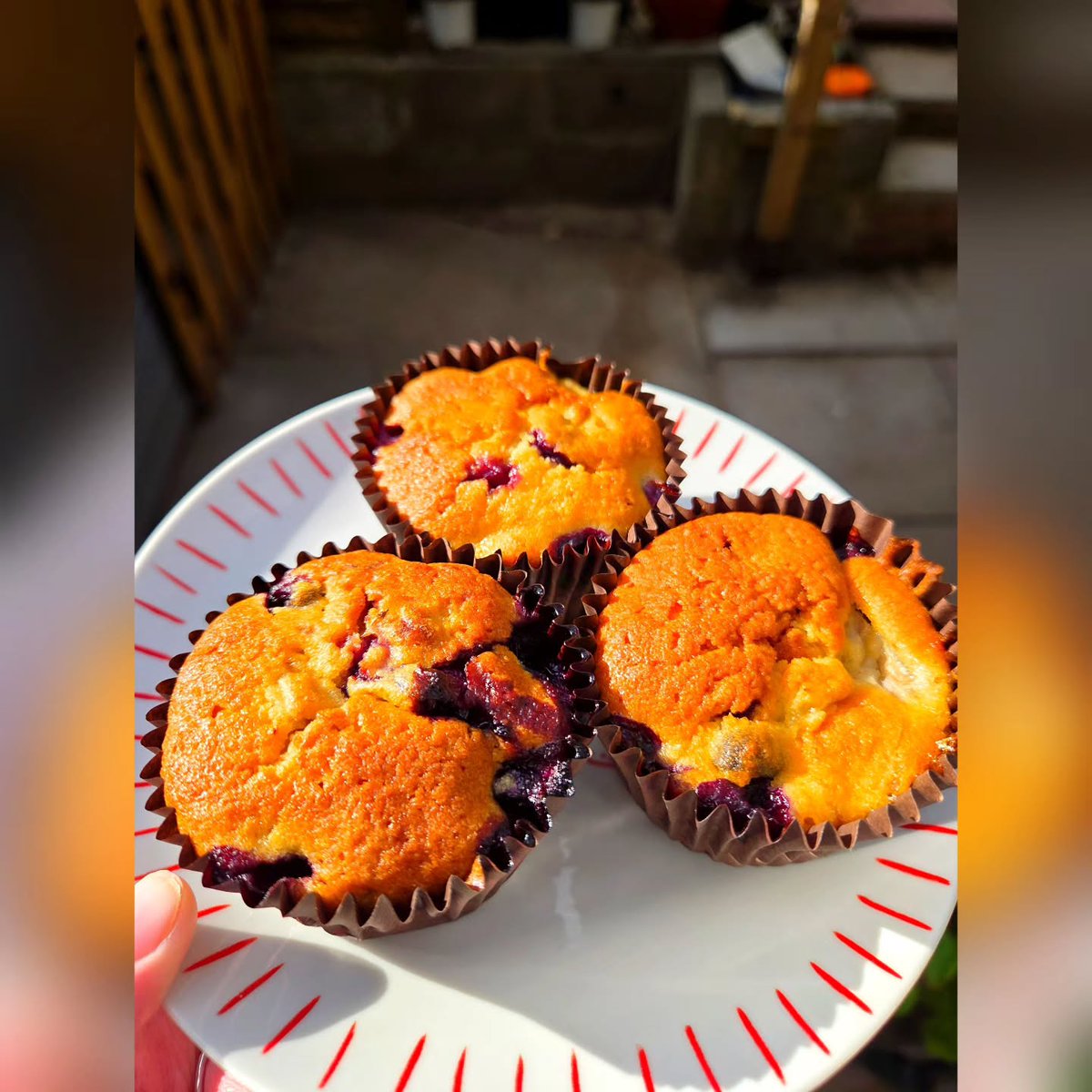 WilliamHelf0c's tweet photo. Blueberry &amp; Banana Muffins

My classic vanilla sponge, folded with lots of blueberries and bananas. My dad came home from walking Mika with two huge bags of blueberries from a neighbour who grows thousands. So I had to make blueberry muffins, and https://t.co/XtkRnFpPly