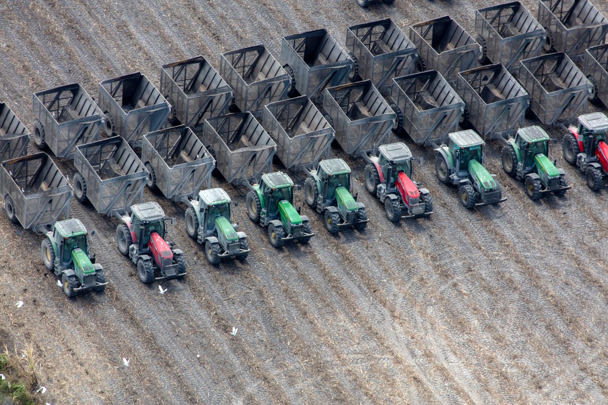 sugaronline's tweet photo. NEW #USA 🇺🇸 #SUGAR OUTLOOK by @Judy_Ganes: With demand steady, lower sugar production leaves the US relying on higher imports from #Mexico 🇲🇽

Join us today to read the full report: https://t.co/Ei1ChcAAa0

#commoditiestrading #softcommodities #sugarindustry #sugarcane #sugarbeet https://t.co/buyZ9FOogP