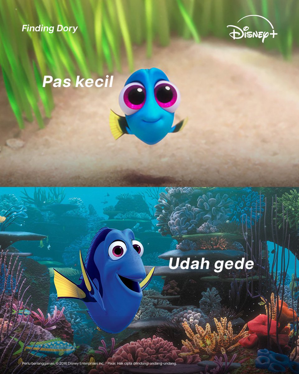 DisneyPlusID's tweet photo. Gak kerasa ikut tumbuh dewasa bareng mereka 🥰 https://t.co/LuK87I2lSk