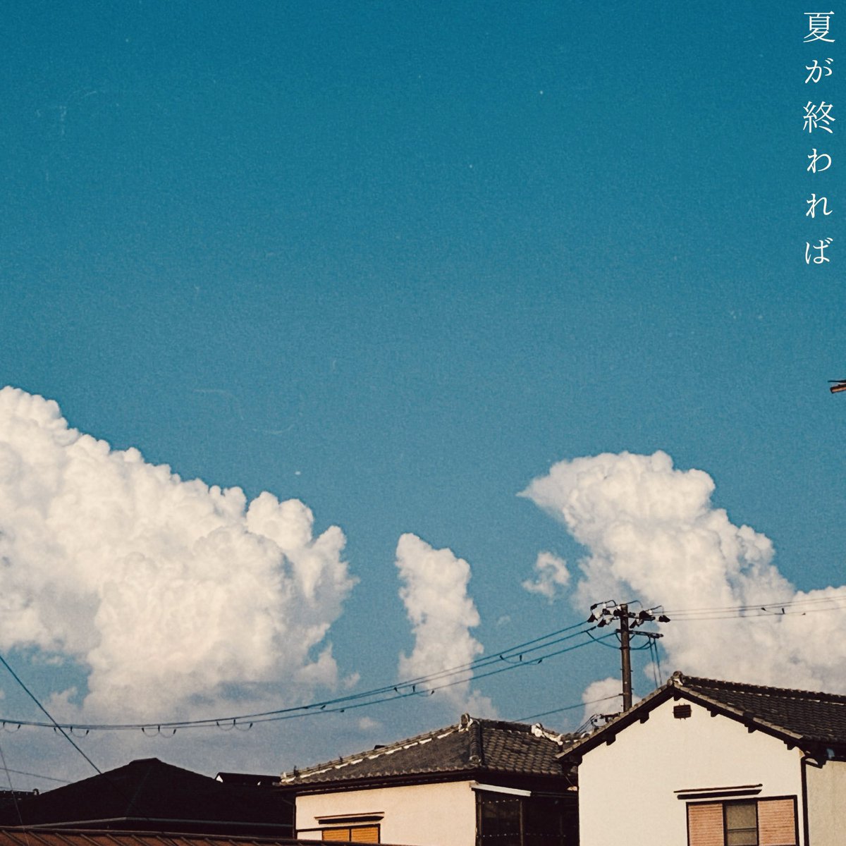 nightridersbnd's tweet photo. 【📢リリースのお知らせ！📢】

2026.9.30より

ナイトライダーズ3rd Single
「夏が終われば」

各種サブスクにて配信開始！

Drum:@drumsyn  
REC:＠kzREC_0915 

夏が終われば、君の恋人になりたい。 https://t.co/O3B2TqX1BV