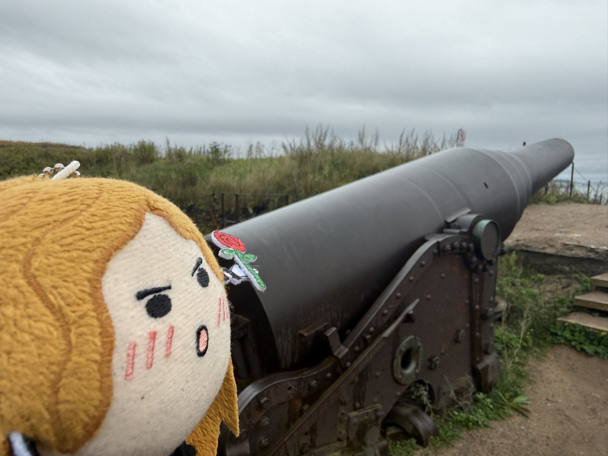 marl0515's tweet photo. スオメンリンナ島（世界遺産）

雨でめちゃくちゃ寒かった
足元悪くて草で滑って転んで泥んこになった😢 https://t.co/uTBfbp7uKk