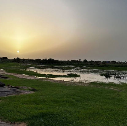 FiryalSalem's tweet photo. حين تتحدث الخضرة يصمت كل شيء. 🌳 https://t.co/nuYSalbQ0q