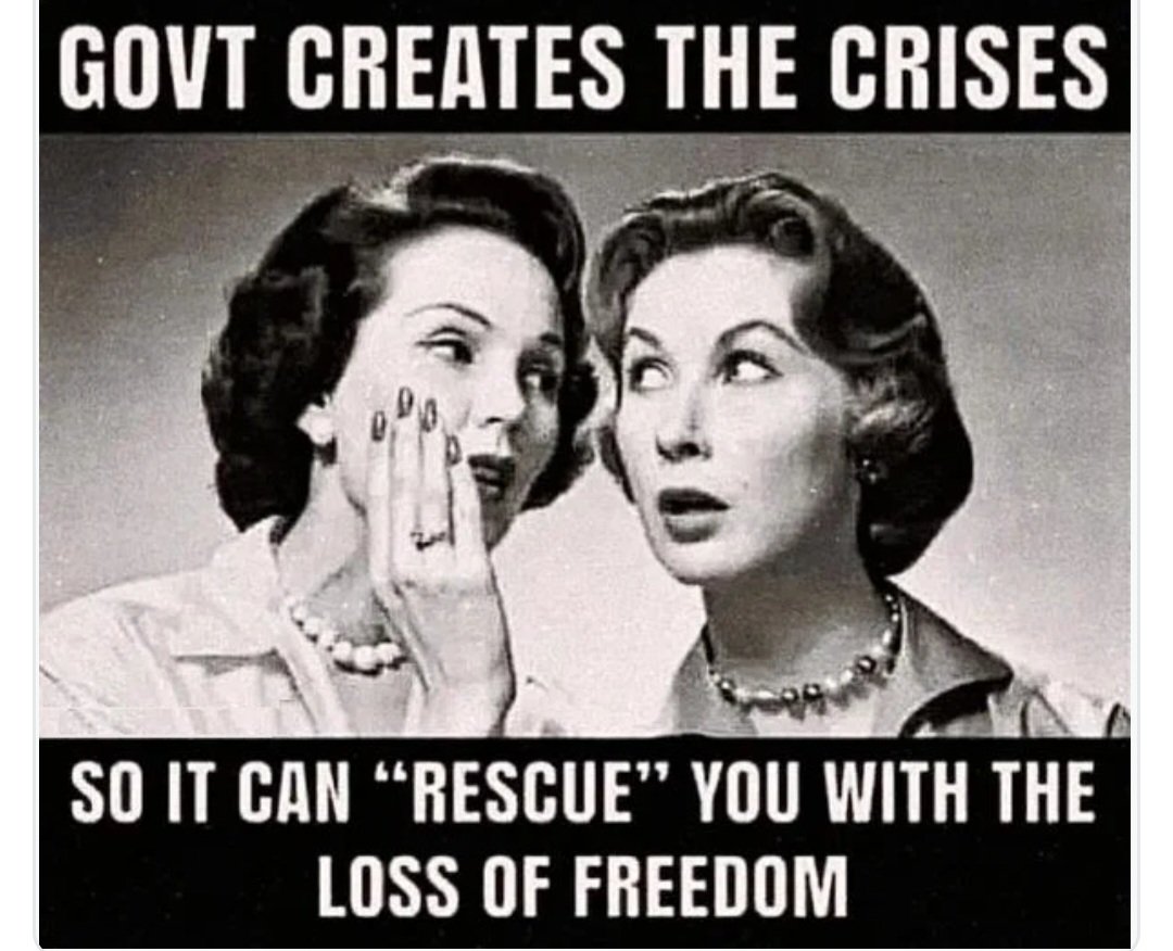 Sandra_G_Loftis's tweet photo. @catturd2 You know the drill. https://t.co/J019KjaFeV