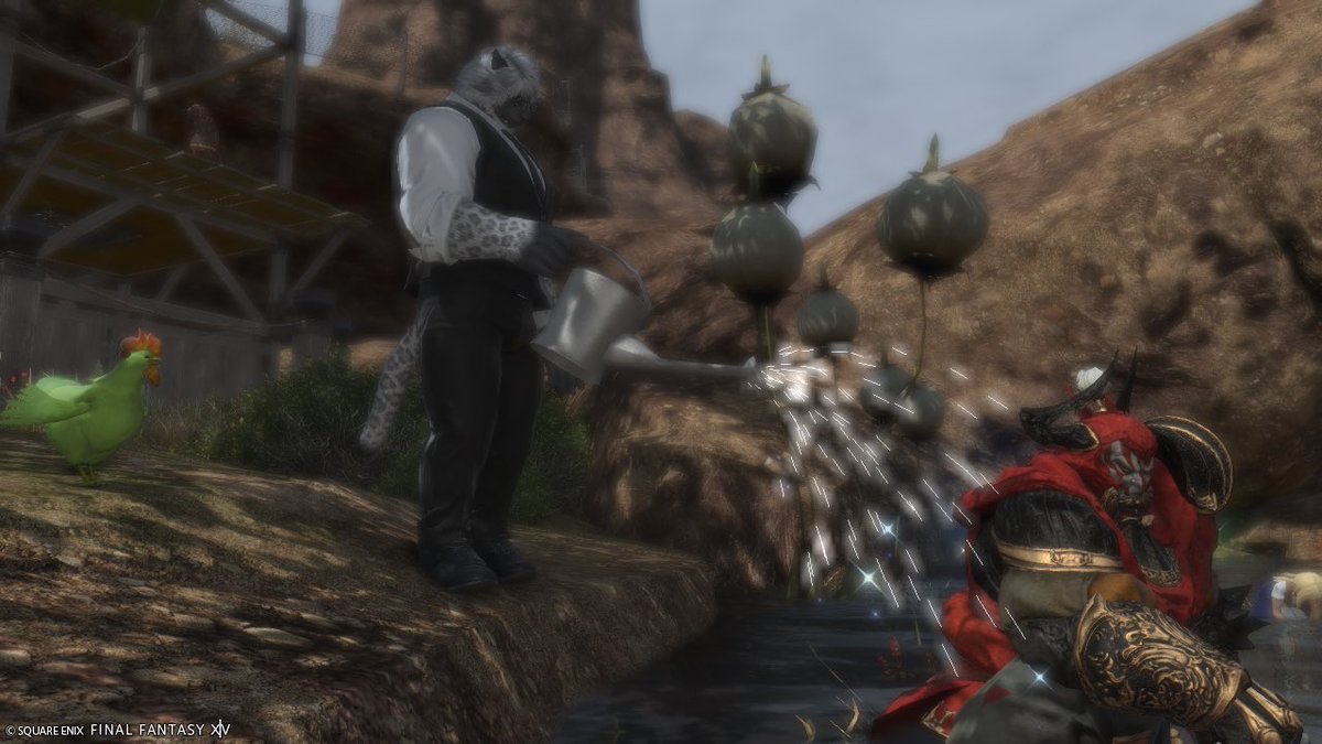 savamisoni_com's tweet photo. 園芸師はじめました、おそらく左がレタスで右がトマトです。

#FF14 https://t.co/3uhngY0t5L