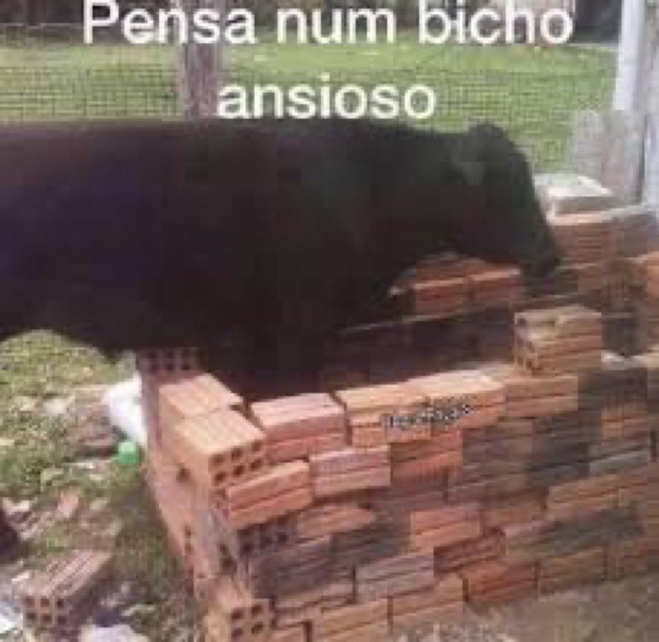 vivitalima's tweet photo. e fechamos esse linduxo cap assim (não lembrava q acontecia tão rápido) e é isso, sim lore, você está ferrada mesmo! ansiosa pelo próximo capítulo e espero que mary não se demore tanto, saudades!!! https://t.co/os7ZxslTco
