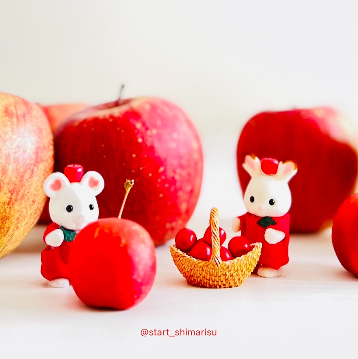 start_shimarisu's tweet photo. シルバニアファミリーと過ごす秋がやってきた🍂 https://t.co/MgP5mBbxGp