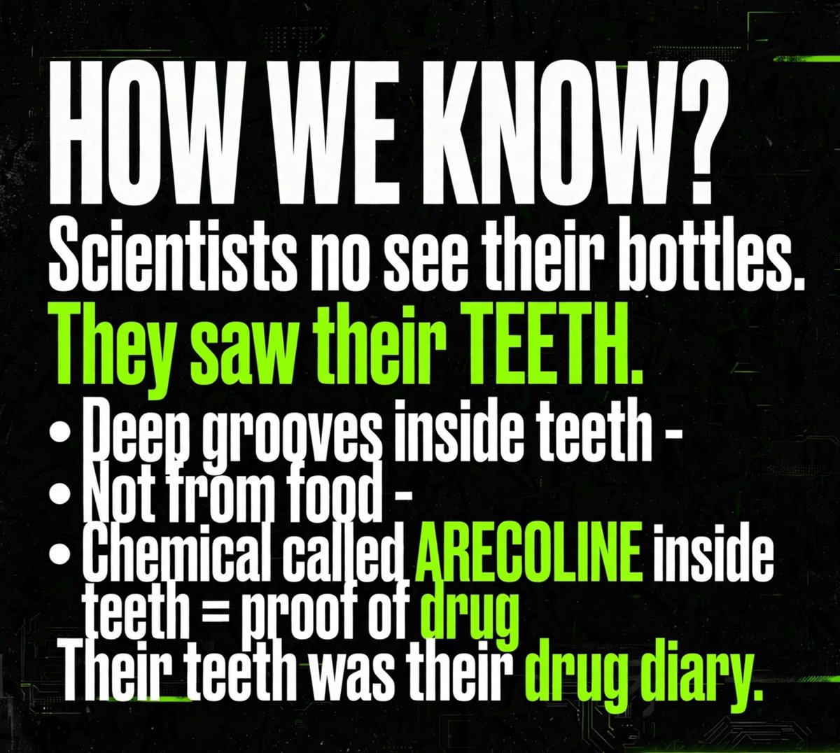 _GlitchDaily's tweet photo. #GlitchNews
#OddHumanStories

20k years before we invented beer, ancient Indonesians were already chewing psychoactive nuts to get buzzed (shayo) 

WHERE?
Sulawesi Island, Indonesia
20,000 years ago
No beer. No cigarettes. No clubs.
But man don find way to buzz.

WHAT THEY CHEW?
Betel Nut - small red nut
When you chew it:
- Mouth turn red
- Head go light
- You feel happy & talkative

THE DISCOVERY?
Scientists no see their bottles.
They saw their TEETH.
- Deep grooves inside teeth
- Not from food
- Chemical called ARECOLINE inside teeth = proof of drug
Their teeth was their drug diary.

THE GLITCH:
Before we invented farming.
Before we invented money.
Before we invented beer.

Human don already dey find way to escape reality.
We have never been sober since day 1.

Moral: Humans have never liked sober reality.

#HumanOddities #GlitchNews