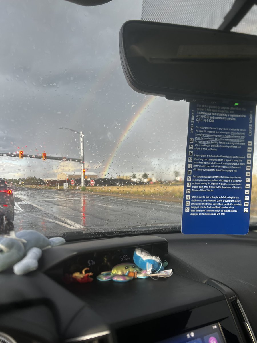 nyctobeetle's tweet photo. double rainbow otw home from work tha other day (+ ladybug) https://t.co/CfvVrYTexK