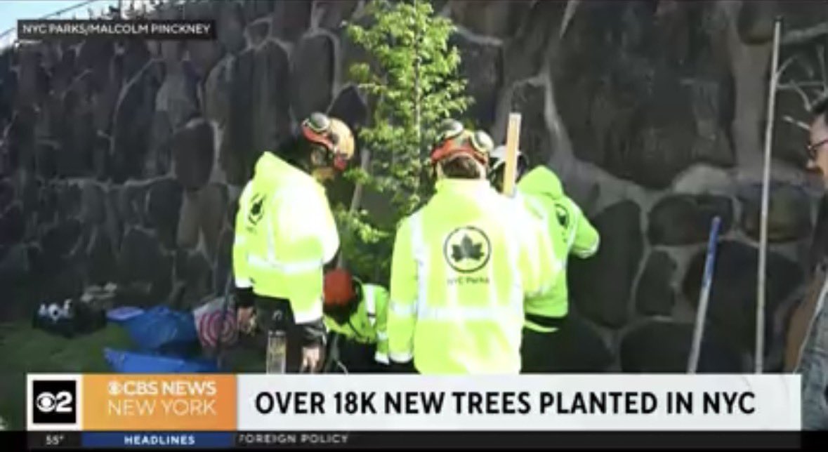 JeremyMarrell's tweet photo. NEW: Mayor Mamdani Announces Most Trees Planted in a Decade 

“Planting more trees, especially in the neighborhoods that need them most, will help make our city cooler, healthier and more beautiful for all New Yorkers.” 
— @NYCMayor 

More here: https://t.co/0ksgMJiqmd https://t.co/GQ2Nk2ow0e