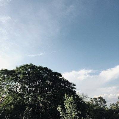 CDebates's tweet photo. 週末は推しの沼に沈むか、ひたすら寝るか、その二択になってる😴 https://t.co/h5MUaiXPSz