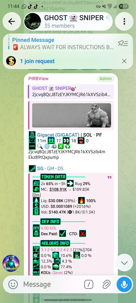 ghost_sniper002's tweet photo. We're bullish on 
https://t.co/z8ai5Kneq2
$GIGACAT 

Printing all the way 
Stay tuned for next 💎 https://t.co/sCyDtWWuVh
