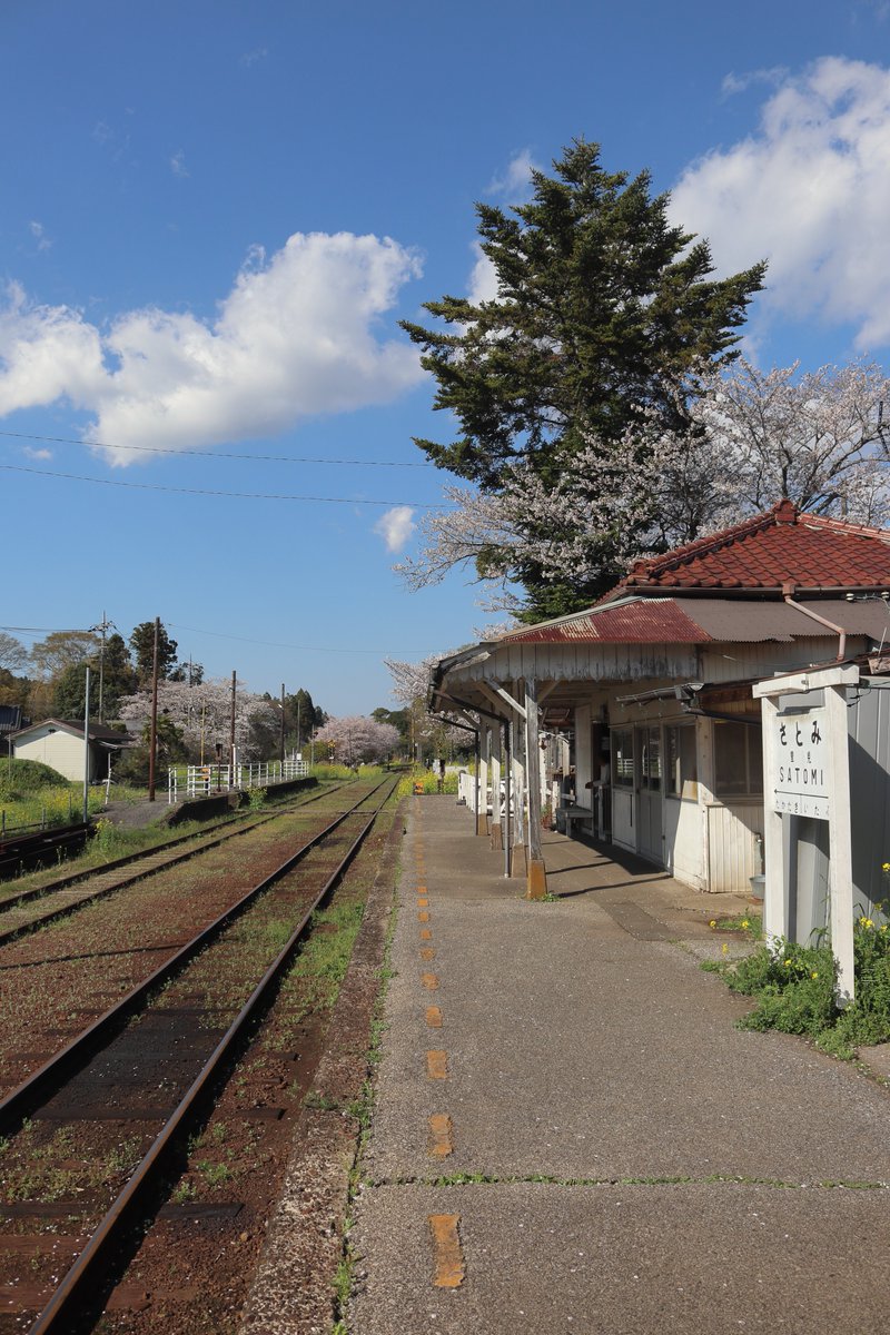 halka_1222's tweet photo. 千葉県は房総の真ん中らへん、里見という駅でして、圧倒的な爛漫に包まれるあの風景が大好きなんです

早期にとは言わず、着実に復旧へ進むことを願うばかり･･･ https://t.co/sm54NSEPqz