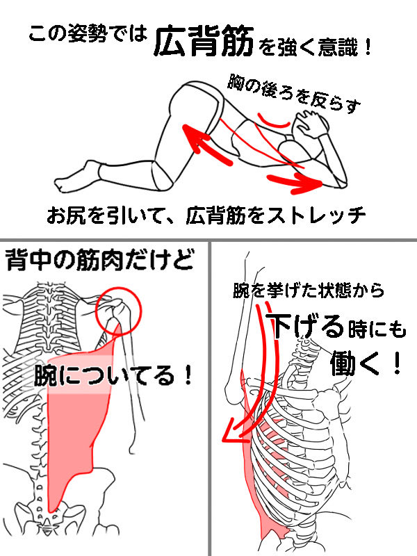 NakayosiHitori's tweet photo. 猫背のやつオススメ！寝起きで気だるい時でもできるのが◎❗️胸の骨を床に近づけるイメージでやると、胸前の伸びと、背中のつまり感解消ができるかも！

巻き肩のやつは状態次第でスタート姿勢がキツイかも？個人的におすすめ載せときますね！

ストレートネックのやつはタ���ルかけるの頭のがいいかも？ https://t.co/9W0n4kyH4I