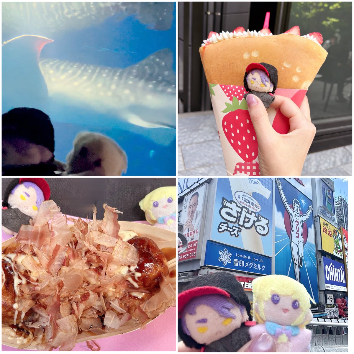Snui_jy9's tweet photo. #本日のもゆぬい
旅してきました♪楽しかったね♪ https://t.co/FshS0fmN5y