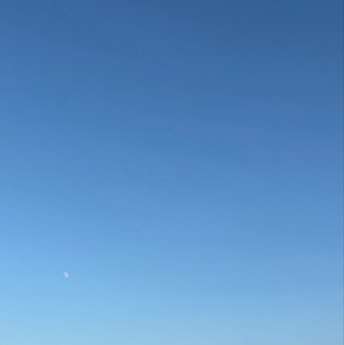 kane4si's tweet photo. 天気よかった https://t.co/liYCGP9Sgx
