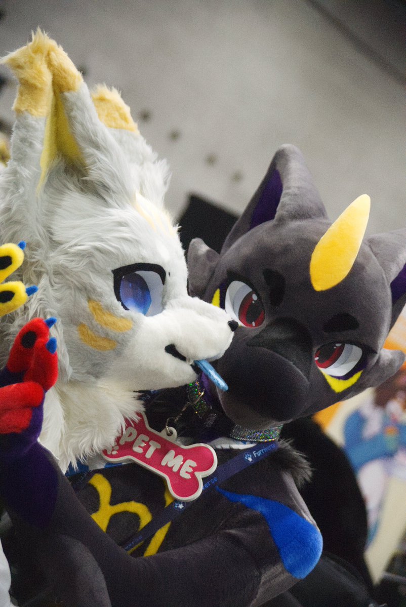 harusame_fu's tweet photo. つかまえたあ!✌
#OFFF2026 #OFFF #Fursuitevryday https://t.co/Vh4tF6Vrps