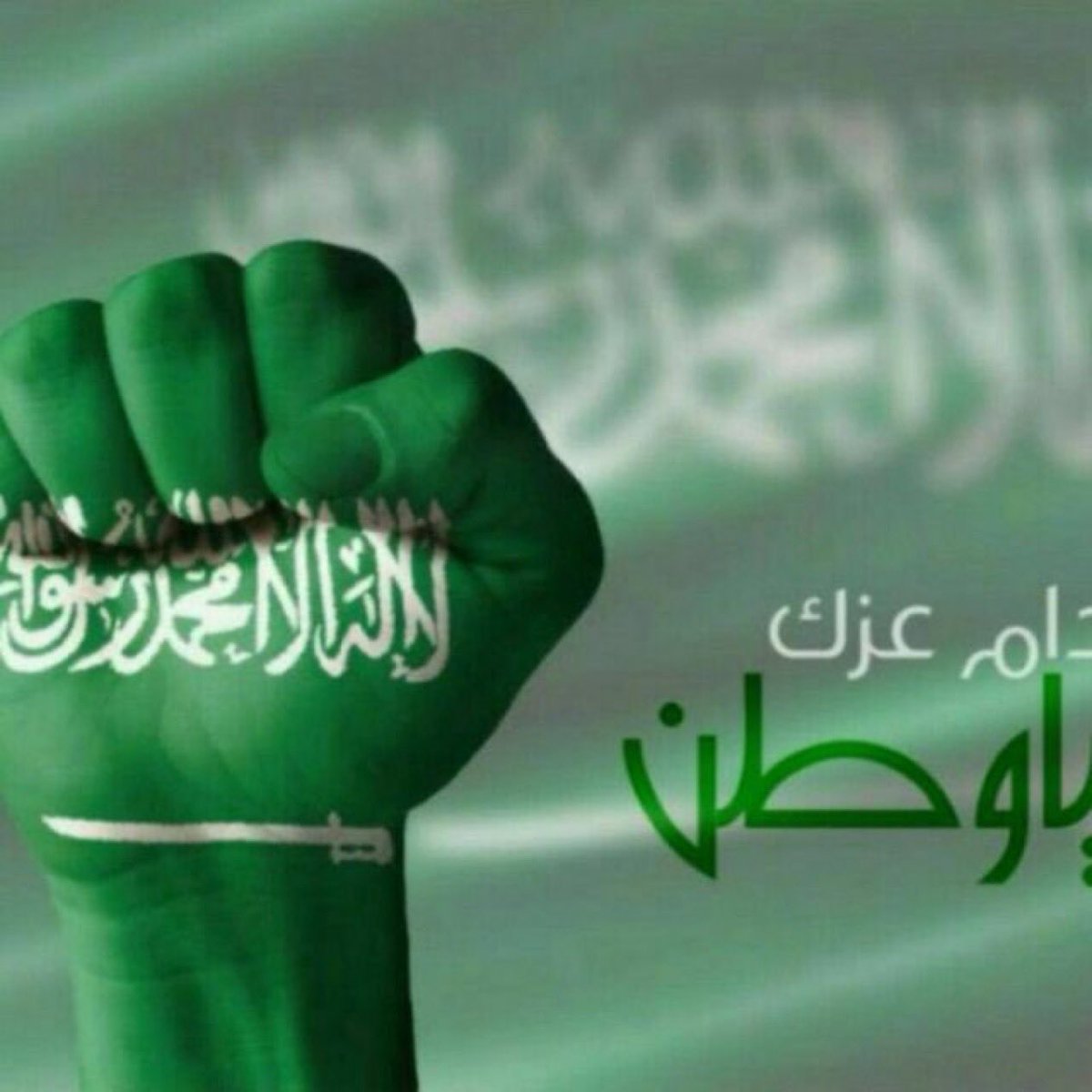 ben_aon's tweet photo. #اليوم_الوطني_٩٦
#انت_يا_وطني_انا

ياوطن والروح ماتغلى عليك
ولا تواخذنا على تقصيرنا

ايه حنا ياوطن منك وإليك
مالنا غيرك ولا لك غيرنا https://t.co/lL4GXk94Jw