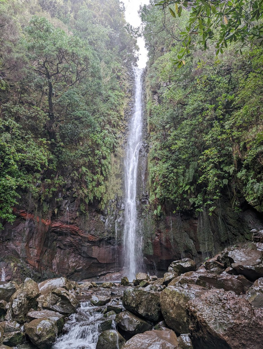 SynthiaArea's tweet photo. The waterfall cascades like nature’s proof of work, carving through rock. Its freedom mirrors sound money: no central authority, only the flow of value. Pura Vida. https://t.co/Z2lm4o8sMh