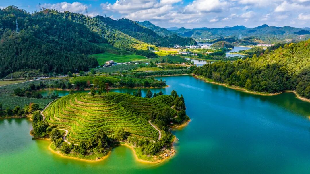 hangzhoufeel's tweet photo. 🍃🍵 What if a #Tea farm could make money all year round?

In #Chunan, tea farmers are finding new value in the leaves once overlooked after the spring harvest. With smart processing, higher standards, and growing demand from the new tea-drink industry, summer and autumn tea are becoming a new source of income.

Tea leaves that once sat unused are now turned into matcha, tea bases, bottled drinks and more.  Some tea factories are even processing winter leaves, keeping production going through the colder months.

#Hangzhou #TeaCulture #ChineseTea #SmartAgriculture #RuralRevitalization