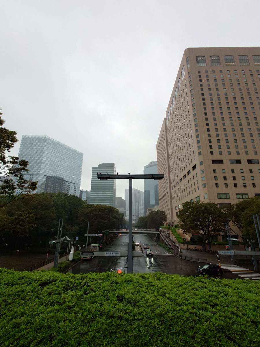 Y8MxT_tw's tweet photo. シルバーウィーク最終日、雨の新宿。
#シルバーウィーク 
#雨の日 
#新宿 https://t.co/MpaDTnFSXO