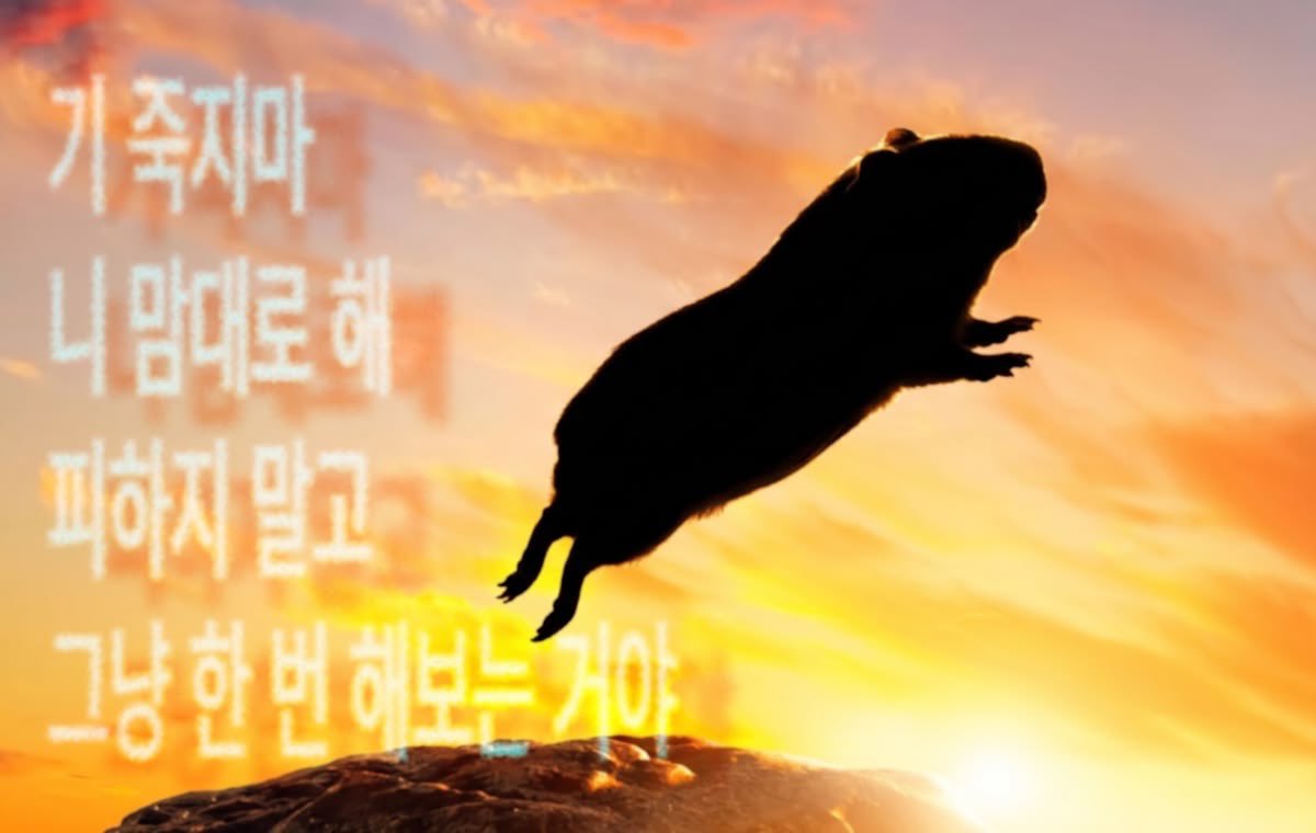 Yilkmin's tweet photo. 걱정이 많으다…
자격증은 다 땄고 이제 서류 통과하기 시작하는데
실질적으로 전공공부랑 ncs는 거의 안돼있어서 괴리감 느껴짐… 무작정 처놀진 않았는데(조금 놀긴 했지만ㅋ) 공백기 크게 생��느낌
그래도 언젠간 서류 통과하기 시작한거처럼 필기통과하고 면접통과하는 날도 오겠죠ㅎㅎ https://t.co/kEkHke4K9z
